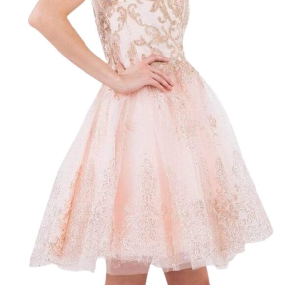 NWT Elizabeth K GS1964 Mesh Cocktail Dress Pink Size 2XL - Picture 4 of 10